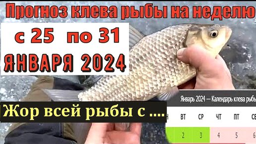 Календарь рыболова. Рыболовный календарь клева на 2022. Календарь рыбака. Лунный календарь рыболова на 2021 год по месяцам таблица. Лунный рыболовный календарь на 2021 год.