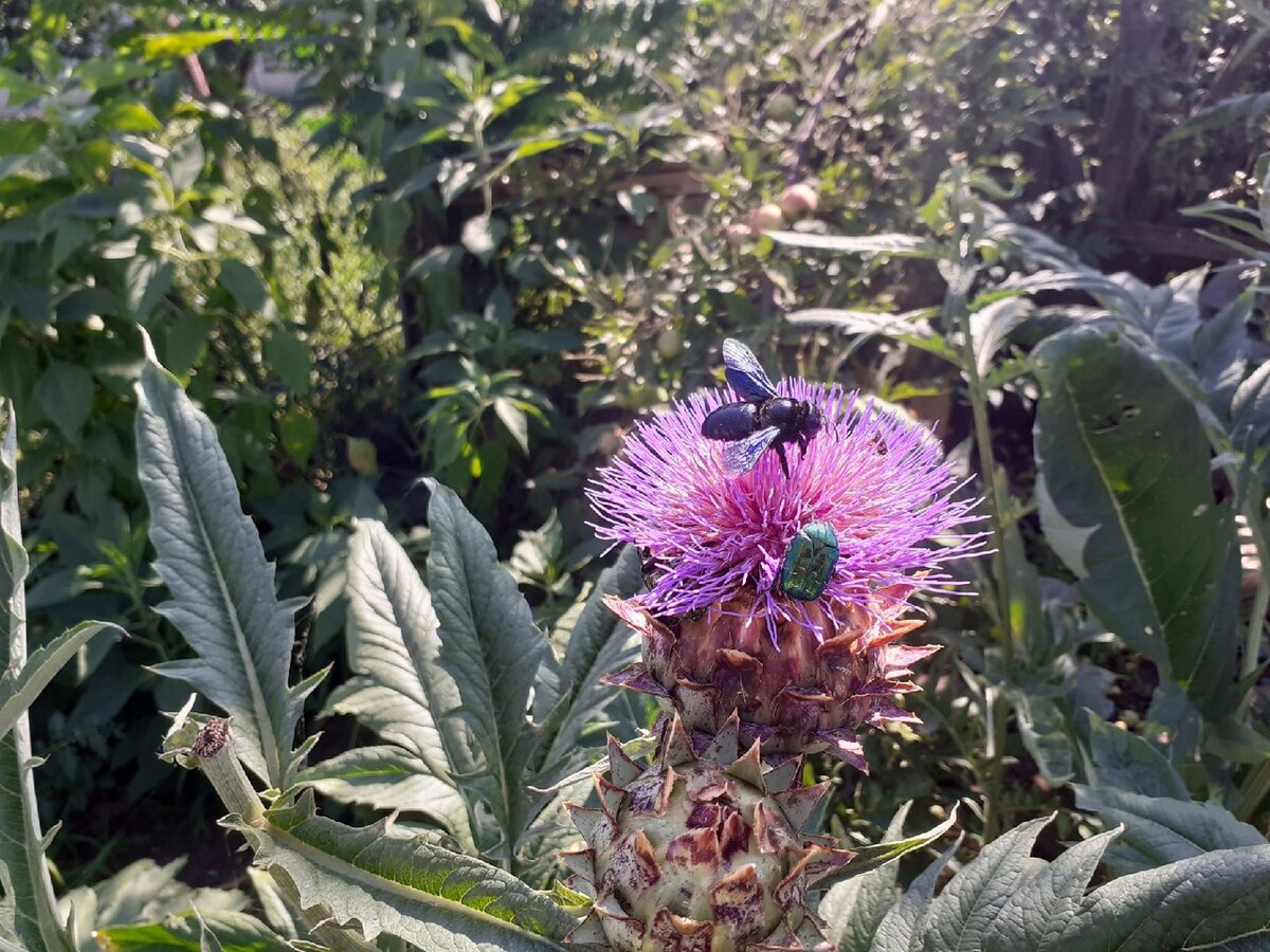 Листайте, чтобы увидеть больше фото.