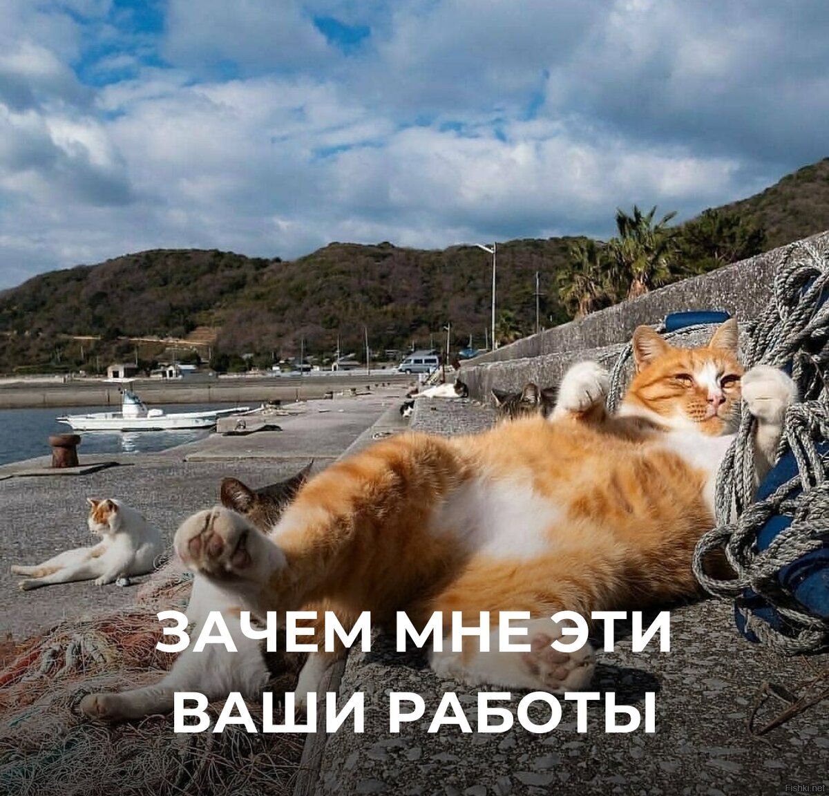 Бот решающий вопросы. Бот не работает. Бот решающий вопросы. Чат бот. Бот решающий вопросы.