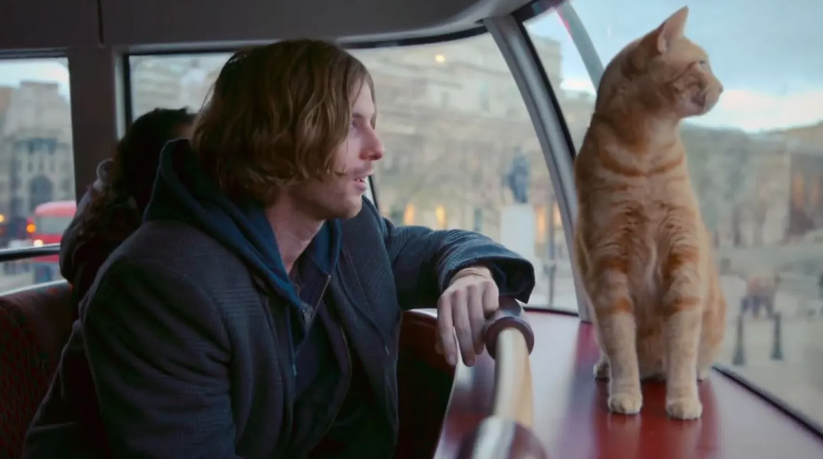 Книги человек человеку кот. Уличный кот по кличке Боб (2016). Рыжий кот Боб.