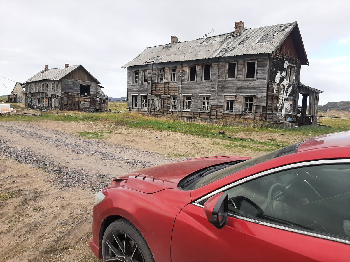 Забавные 5 дней. Забавные 5 дней. Обезьяны. Смешной в очках. Собака здоровается.