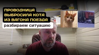 Проводница выкинула кота из вагона поезда. Разбираем ситуацию