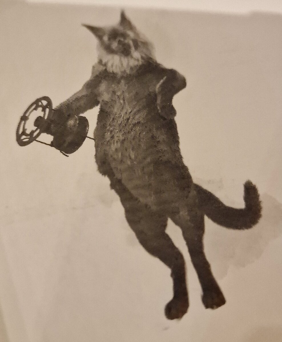 метафоры дождя