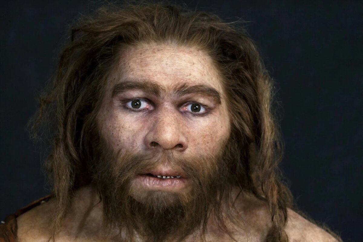 Хомо неандерталенсис. Неандерталец и Денисовец. Неандерталец Денисовец сапиенс.