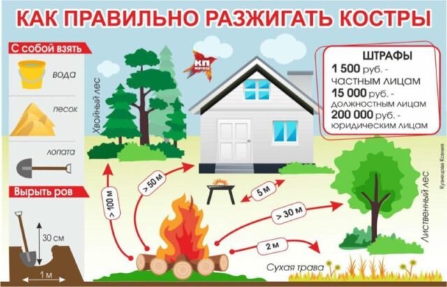 как отчистить смолу сосны от одежды | Дзен