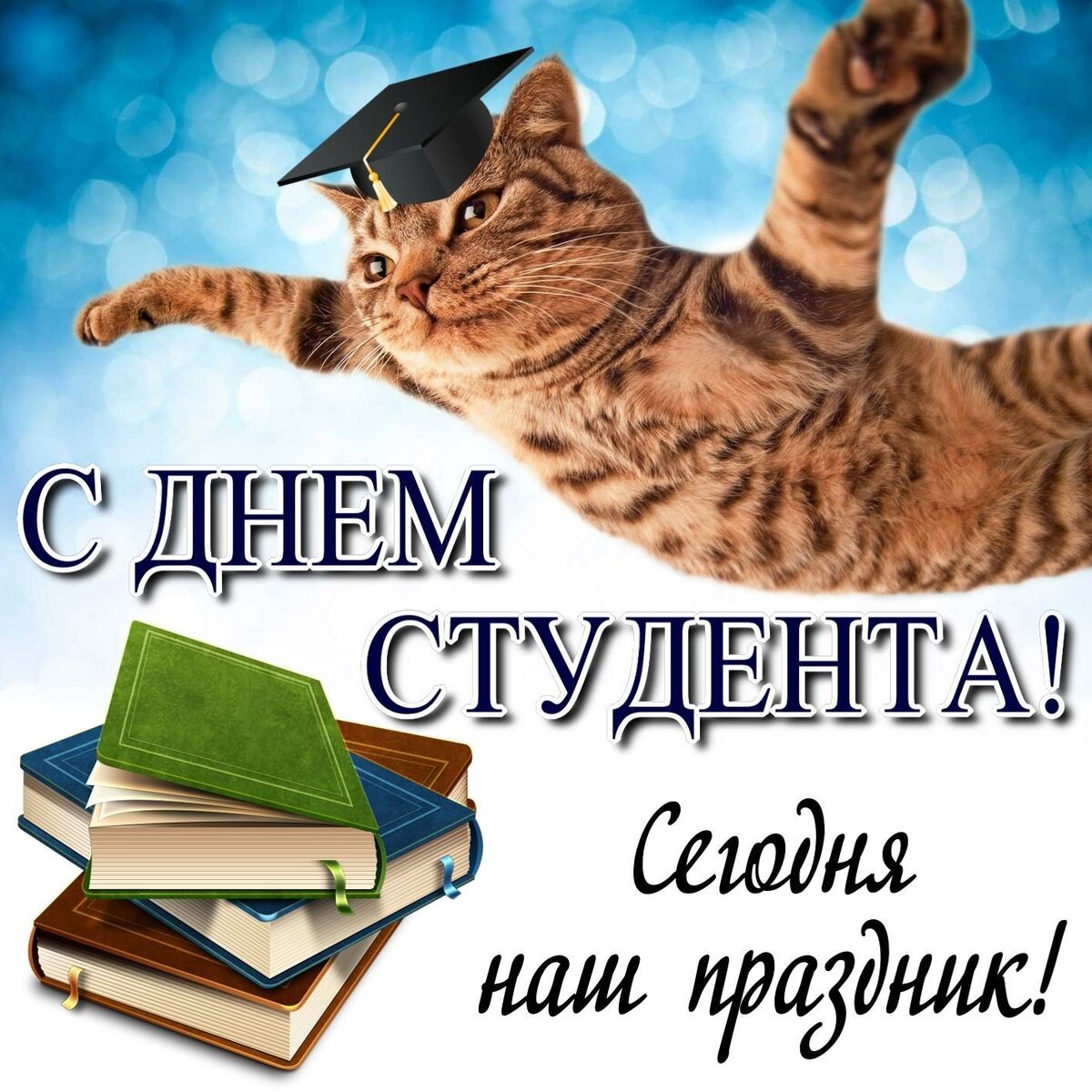 25 января – День студента: прикольные картинки и гифки с праздником 2024 |  МК в Новосибирске | Дзен