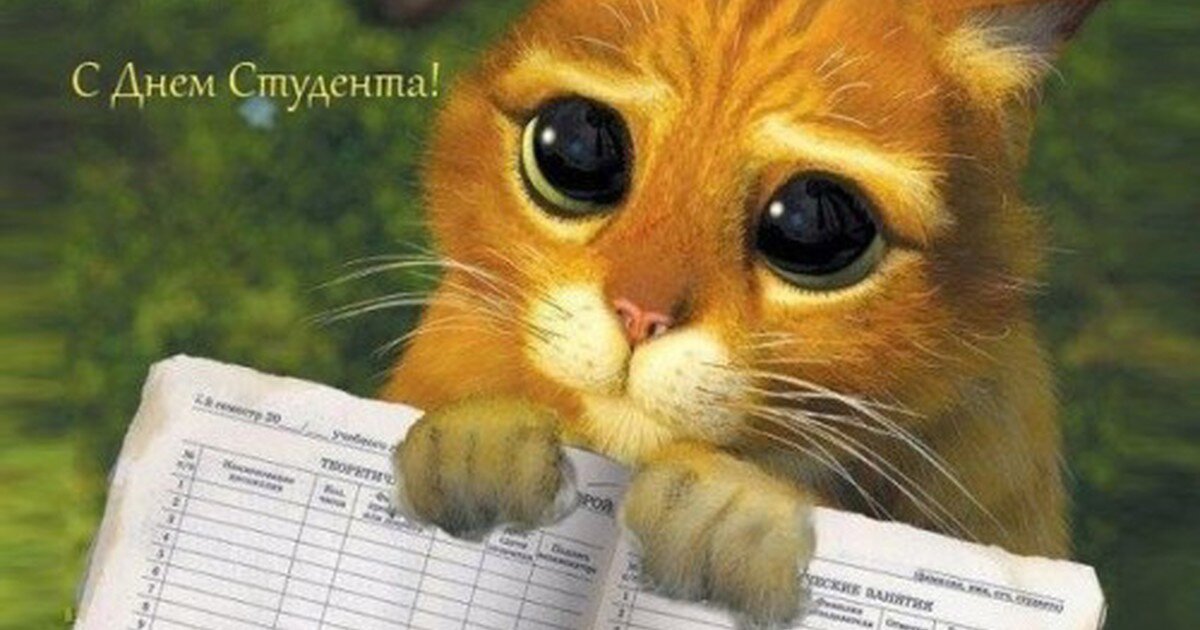 смешные обои на телефон с надписями. включи классную картинку. креативные обои. мультяшная девушка. соня колосова.