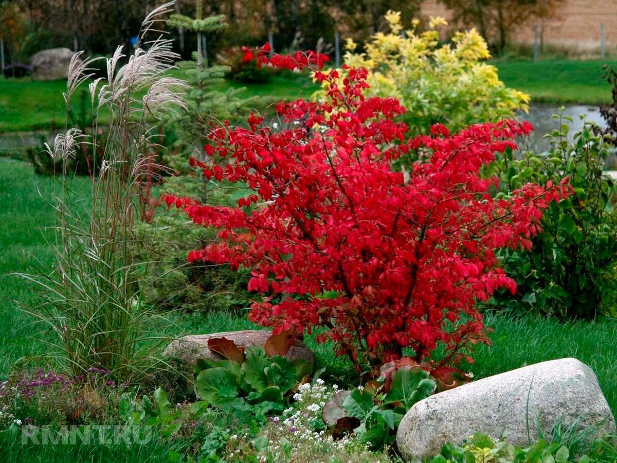   Фото na-dache.pro