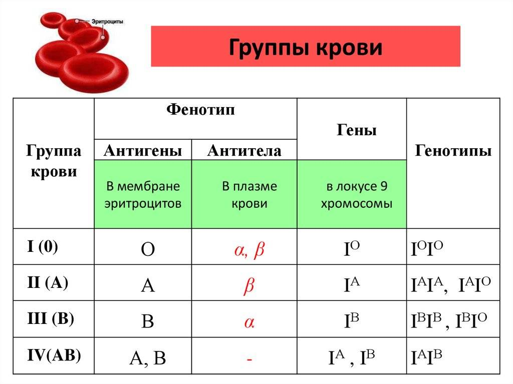 Признак с тремя аллелями. Схема группы крови резус-фактор. 2 Группа крови характеристика. Группа крови а2 rh это какая отрицательная. 2 И 3 группа крови какая.