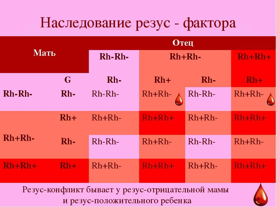 4 отрицательный резус фактор