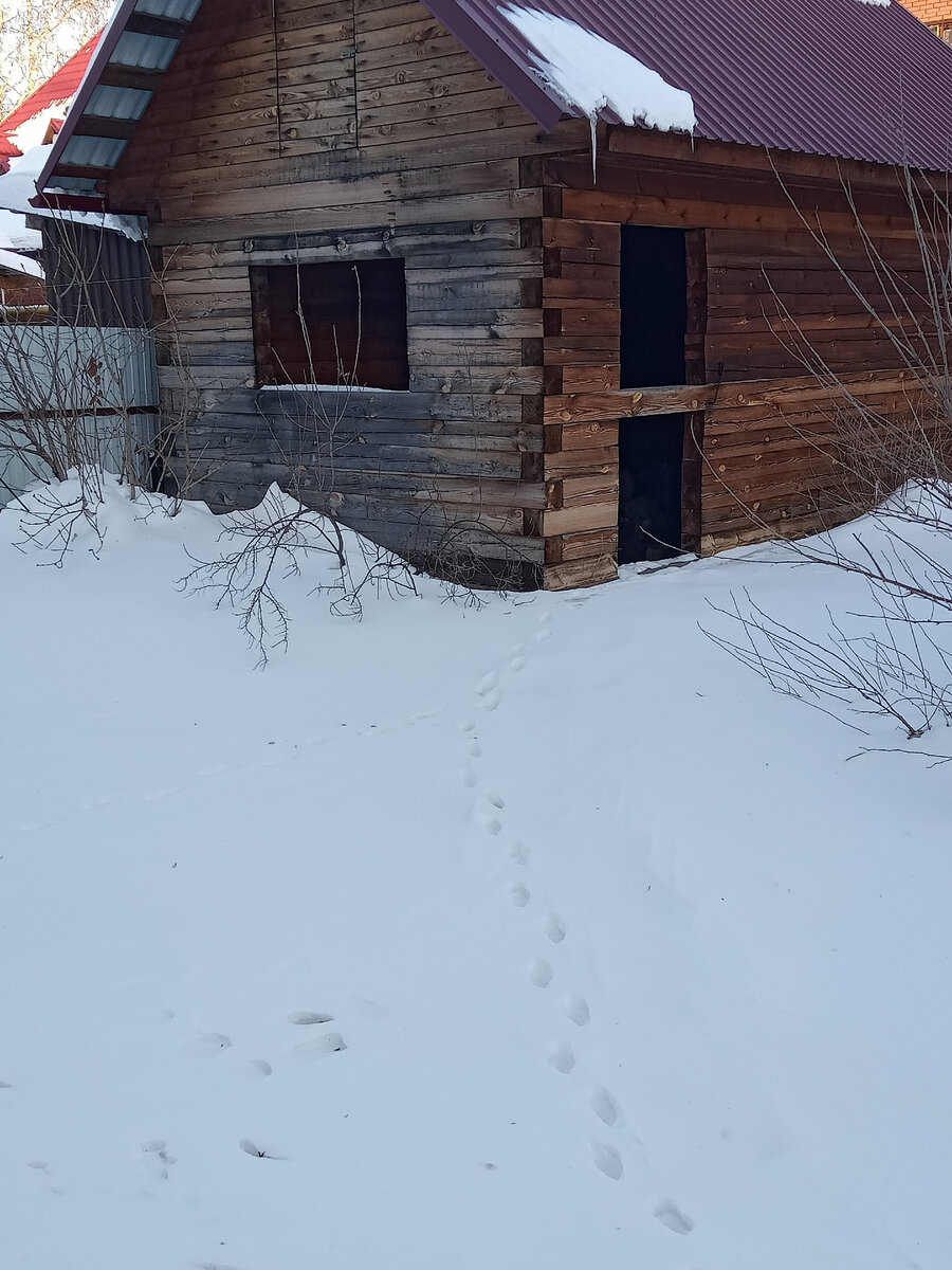 Завести машину пошагово. Последовательность подключения проводов для прикуривания. Эксплуатация автомобиля. Как завести авто в мороз. 8 не заводится.