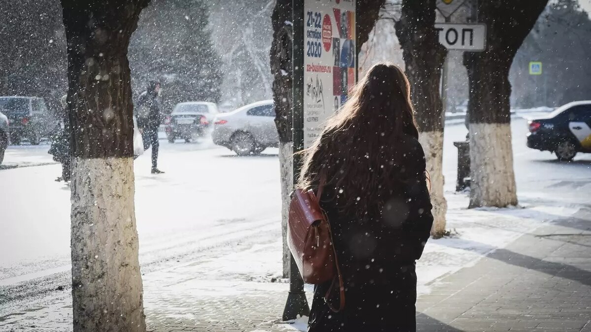 Водитель в Ставрополе сбил девочку на пешеходном переходе | newstracker.ru  | Дзен