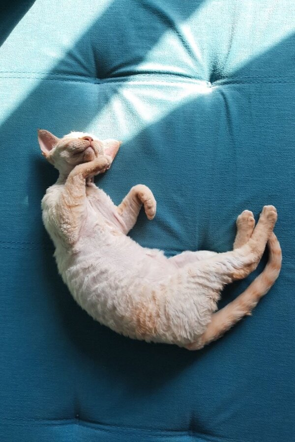 Кеша младше, ручная и трусло, как оказалось.