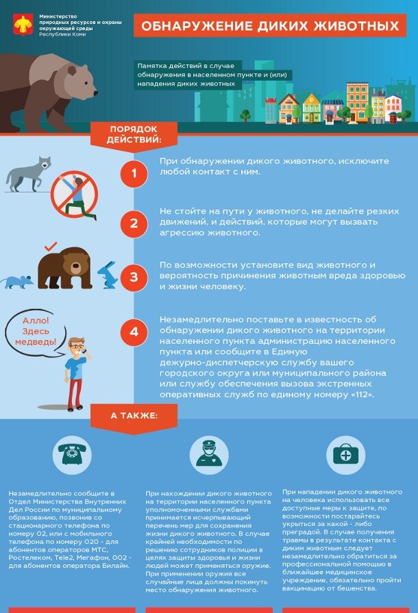 Расположите животных в порядке последовательности. Расположите животных в порядке последовательности. Расположите животных в порядке последовательности. Расположи животных в порядке увеличения роста. Отряд род вид класс тип последовательность.