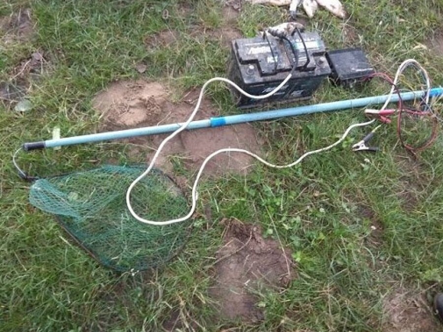 ток лови. ток лови. коля комаров тик ток ярославль. небольшое видео про комара из тиктока. ток лови.