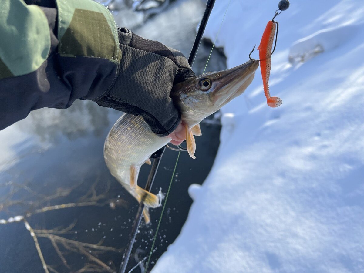 У каждого рыболова свой подход к зимнему сезону: кто-то откладывает рыбалку до весны, кто-то переходит на ловлю со льда, но есть и те, кто продолжает ловить в летнем стиле.