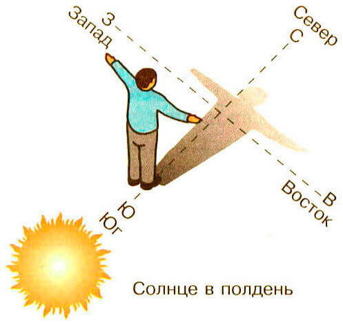 Север, юг, восток, запад - это: а) промежуточные стороны горизонта; б) основные стороны горизонта.