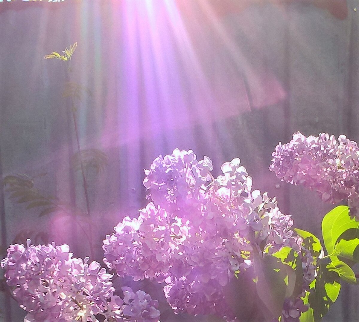 Мир прекрасен и удивителен! Осталось осознать то, что не осознавать ценность жизни и неосознанно превращать свою жизни в трагедию, смысла не имеет. 