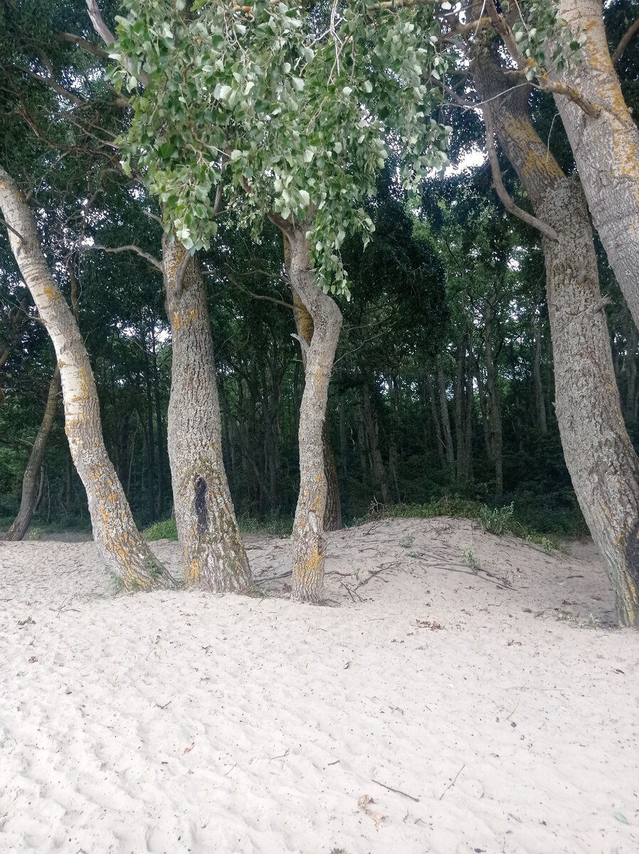 признаки коронавируса у человека симптомы без температуры. симптомы заболевания гриппом и орви. болят глаза при коронавирусе. заложен нос и болит голова. симптомык короновируса.