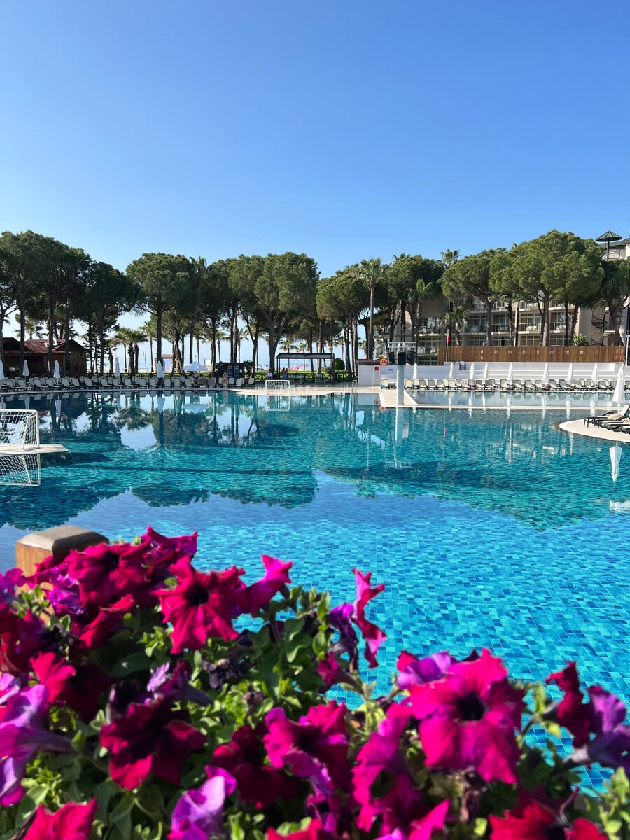 Viking star паттайя где находится. кемер гейнюк. акка антедон турция кемер. Alkoclar exclusive 5 турция кемер. кемер в октябре.