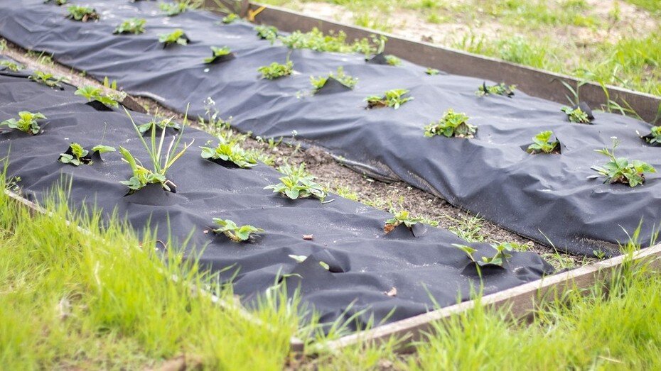 Фото здесь и далее ShutterStock/Fotodom.ru