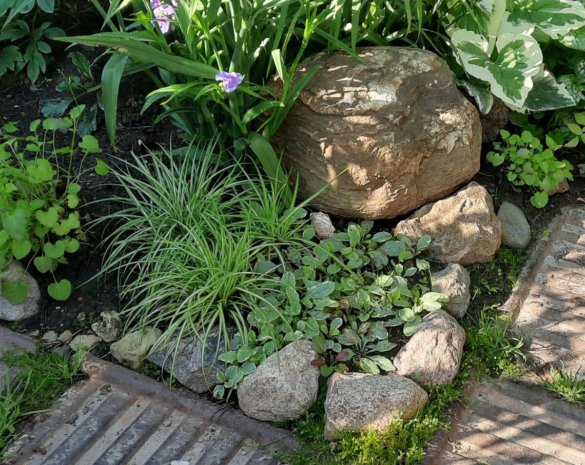 букеты из мыла. композиция из мыльных цветов. необычные букеты из мыла. мыльный букет. красивые мыльные букеты.