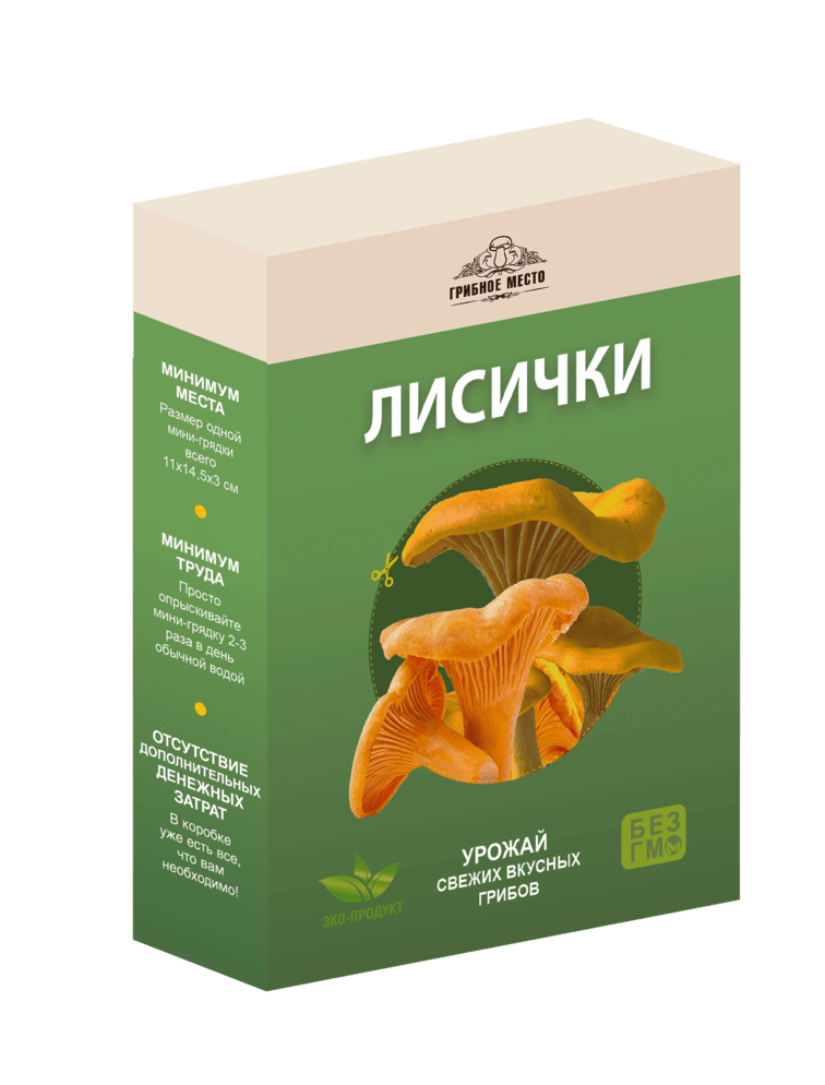 Как сварить грибницу. Как сварить грибницу. Суп с грибами в кастрюле. Суп грибной рецепт на картинке. Суп с белыми грибами.
