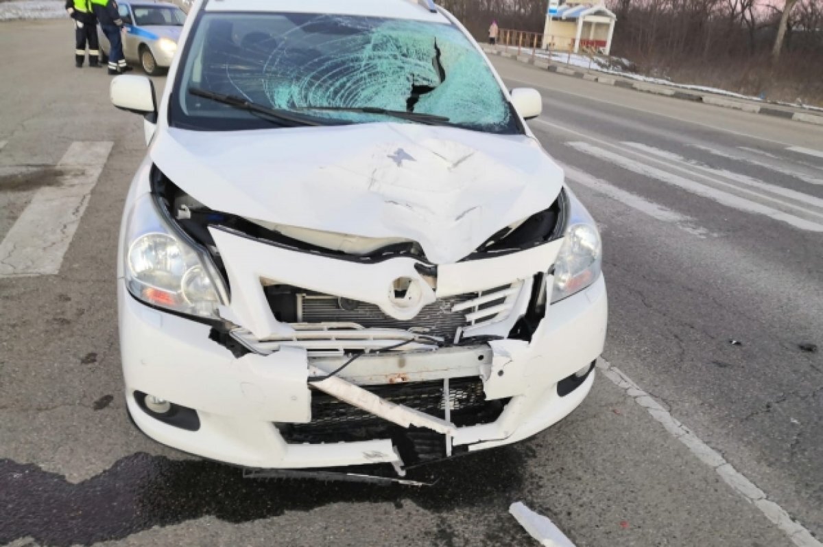    В Краснодарском крае под колесами «Тойоты» погиб 59-летний пешеход