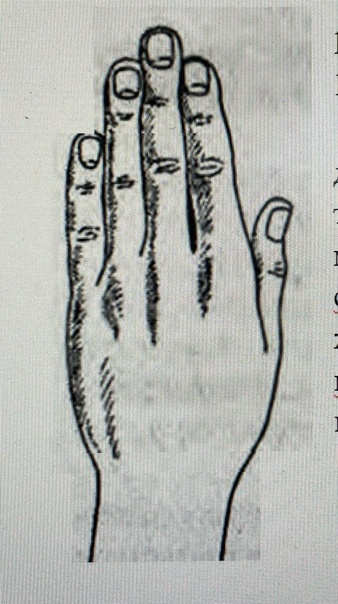 Элементарная рука (рис. 1, а)