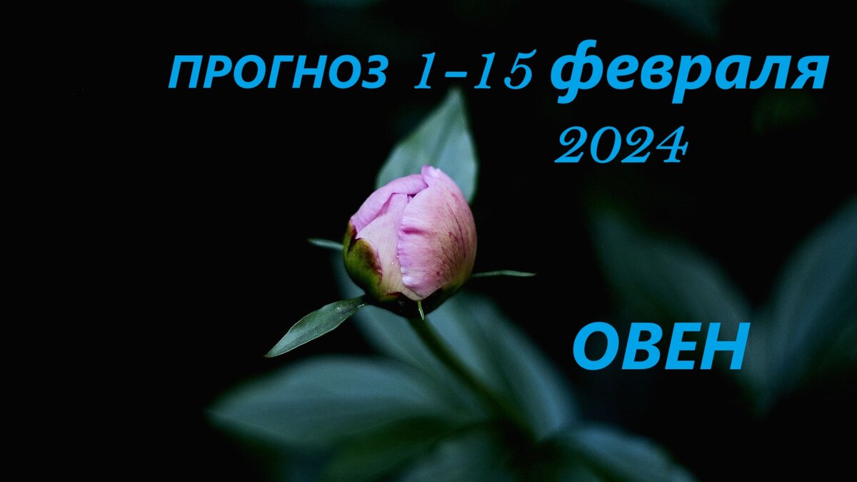 знаки зодиака иллюстрации. телец зодиак. 22 января знак зодиака. 26 января гороскоп. 01 2024.
