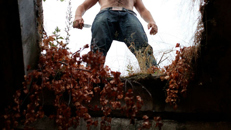 Фото: Global Look Press/ Andrey Arkusha