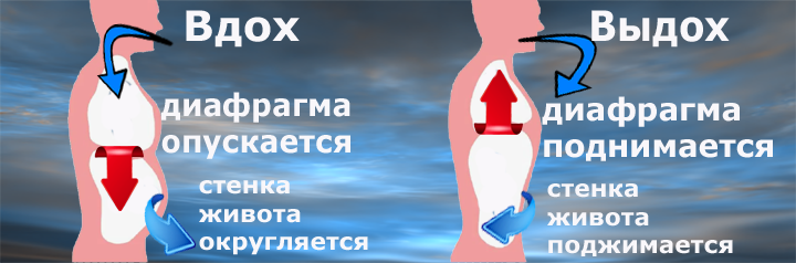 Дыхательная гимнастика при гипертонии. Дыхание диафрагмой при давлении. При вдохе диафрагма. Изменение давления в легких при вдохе и выдохе. Дыхание диафрагмой при давлении.