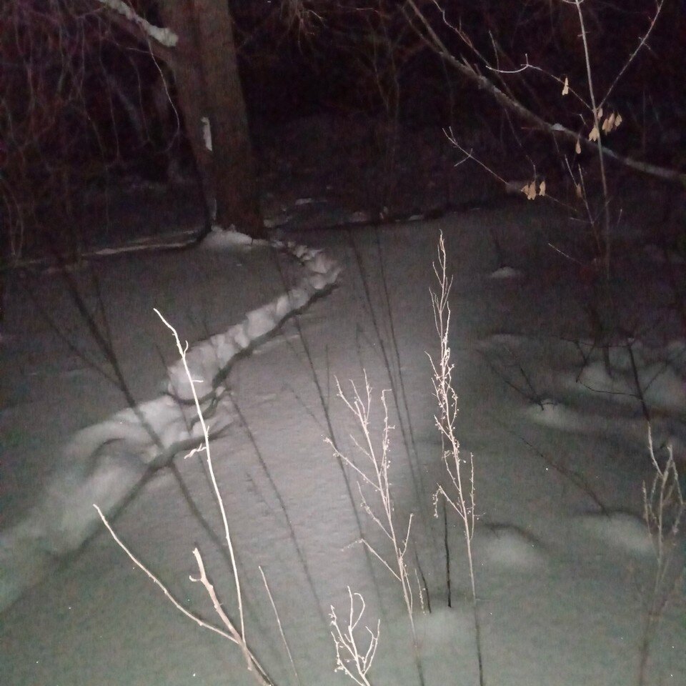 ладошка это пруд по ней кораблики. пальчиковая гимнастика пароход кораблик. гимнастика для пальцев для детей 3-4 лет. твоя ладошка это пруд пальчиковая гимнастика. пальчиковая гимнастика пароход для дошкольников.