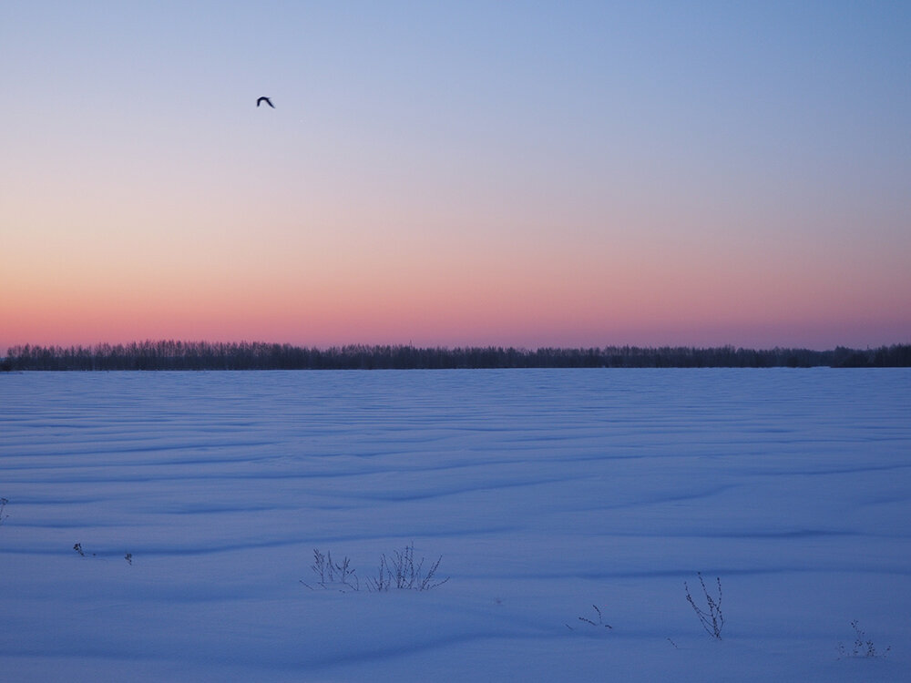Заря занимается.