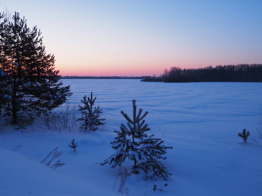 Зимние сумерки.