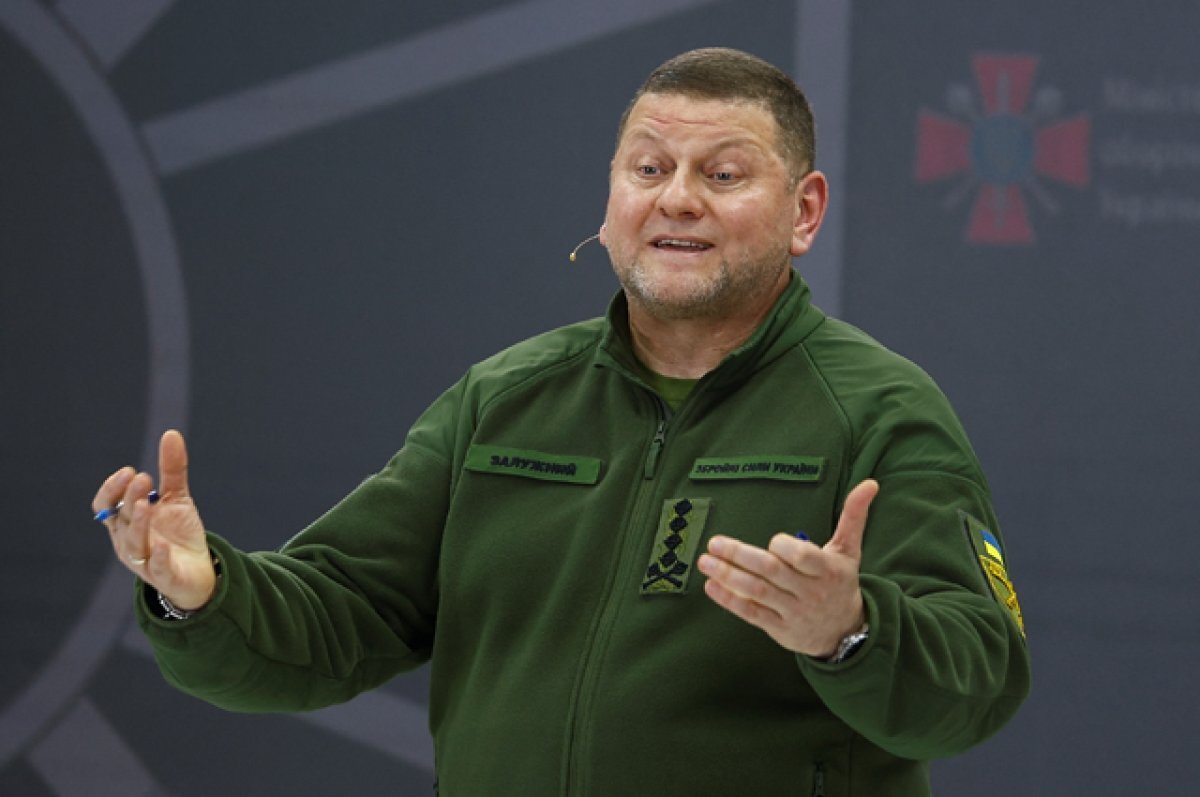    Валерий Залужный