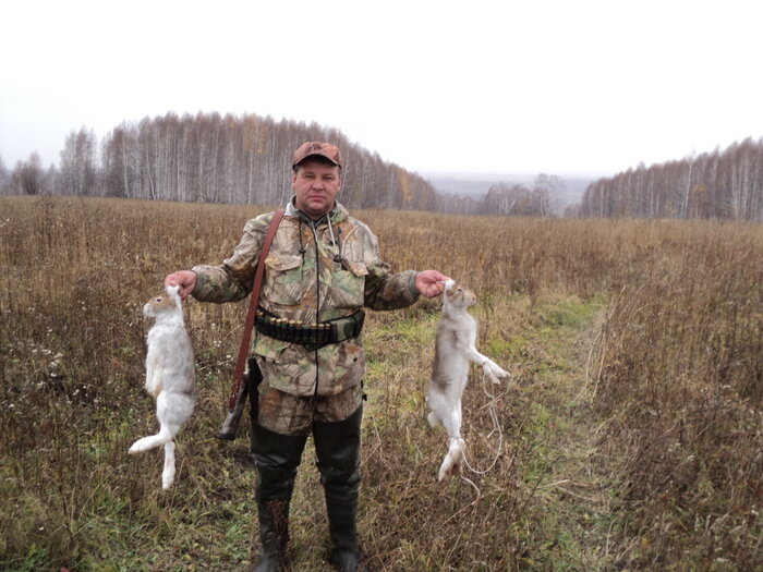 охота на зайца с гончими по чернотропу. тропление зайца беляка зимой. сибирский странник охота на зайца. охота на зайца 2021 самые свежие видео. охота на зайца белоруссия.