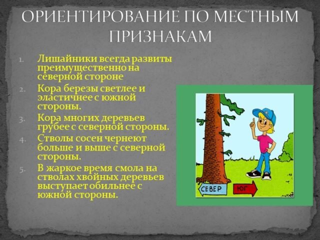  Одной из важнейших навыков для выживания в природе является умение ориентироваться среди горизонту, чтобы определить свое положение на местности.