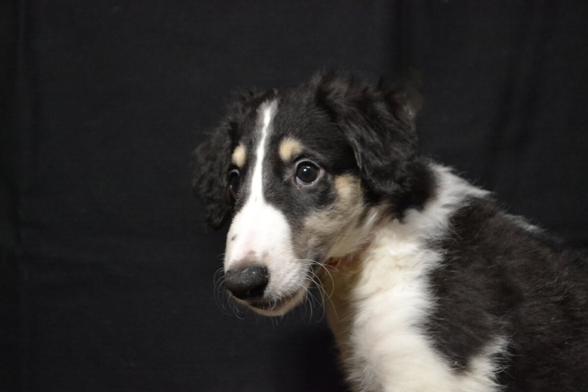 Личное фото