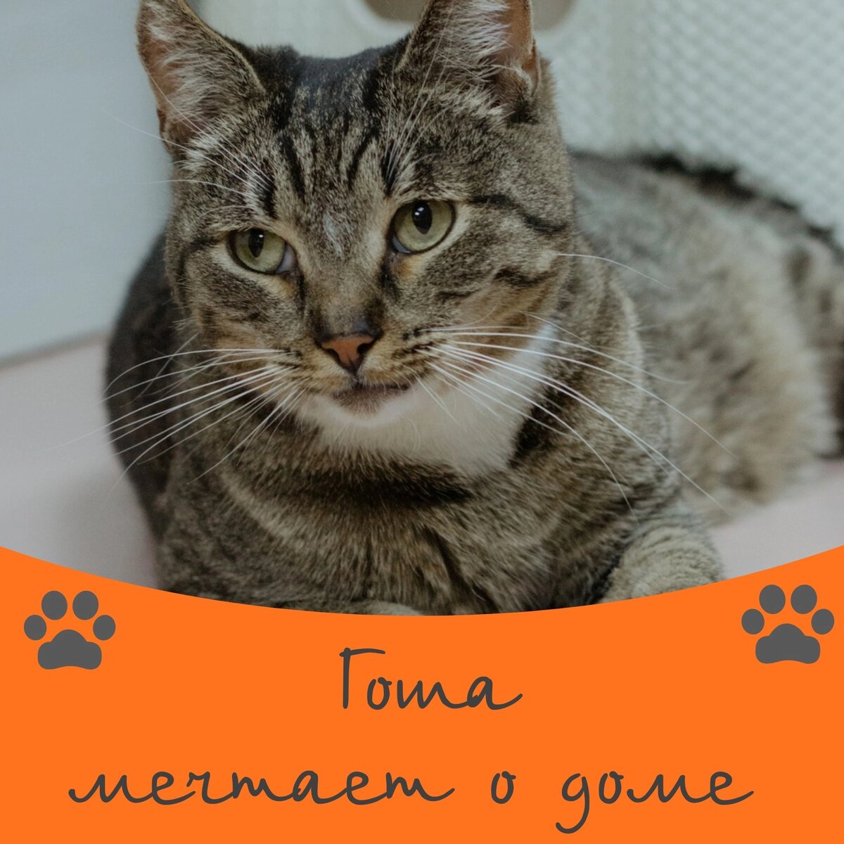 стих я могу тебя. авторские стихи. разные стихи. когда каждый мечтает с тобою текст. стихи о море и любви.