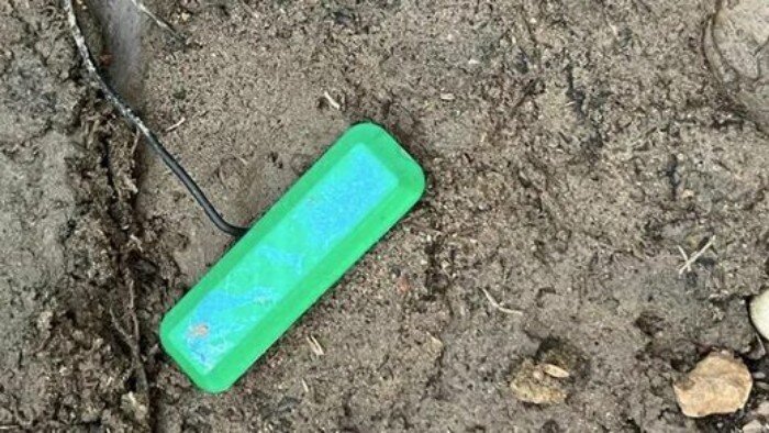    -     ,      ,     ...-2