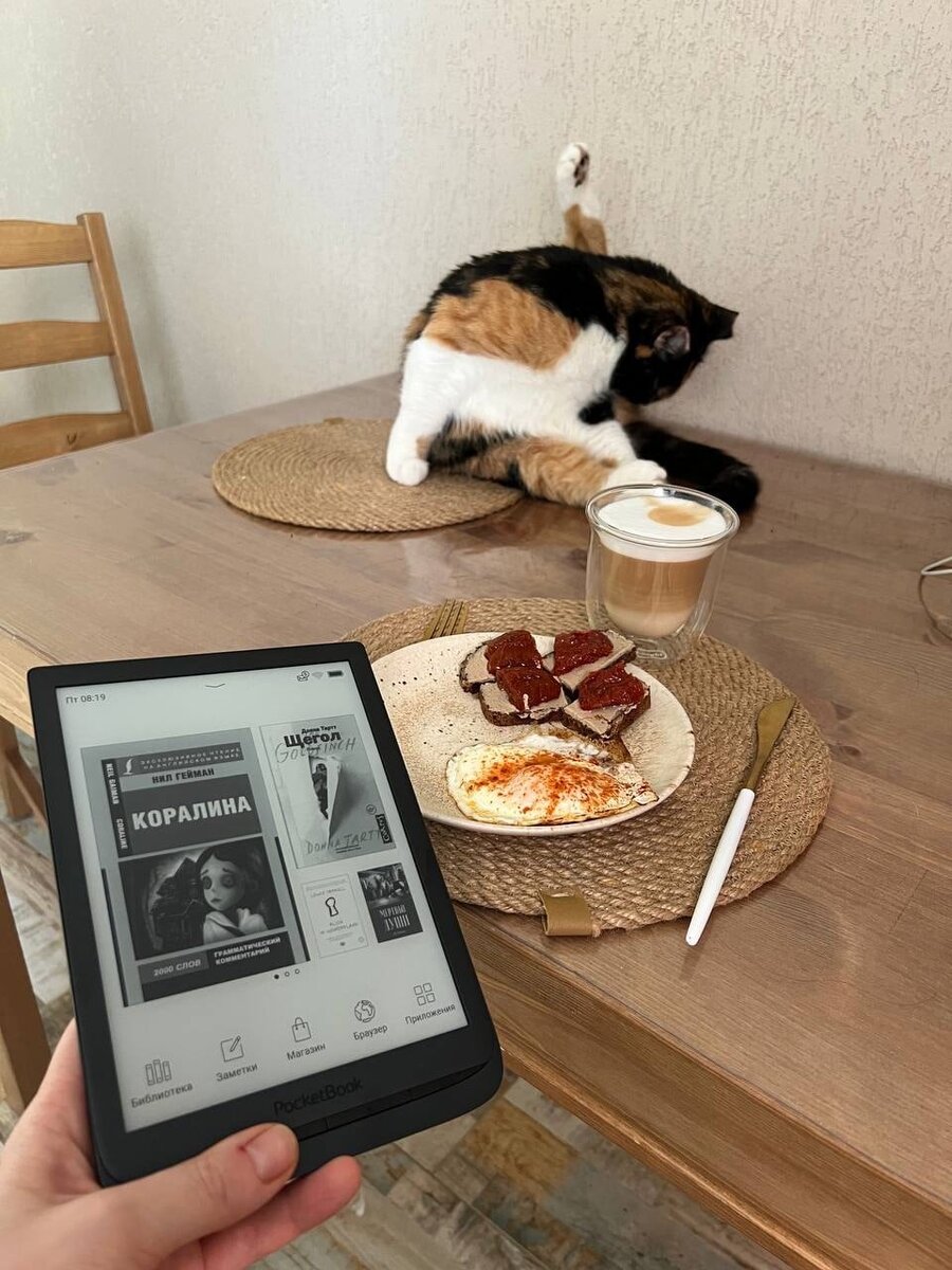 подшипников 9 доктор вет