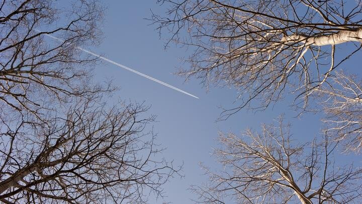 © LARS HALLSTROM/IMAGEBROKER.COM/GLOBALLOOKPRESS