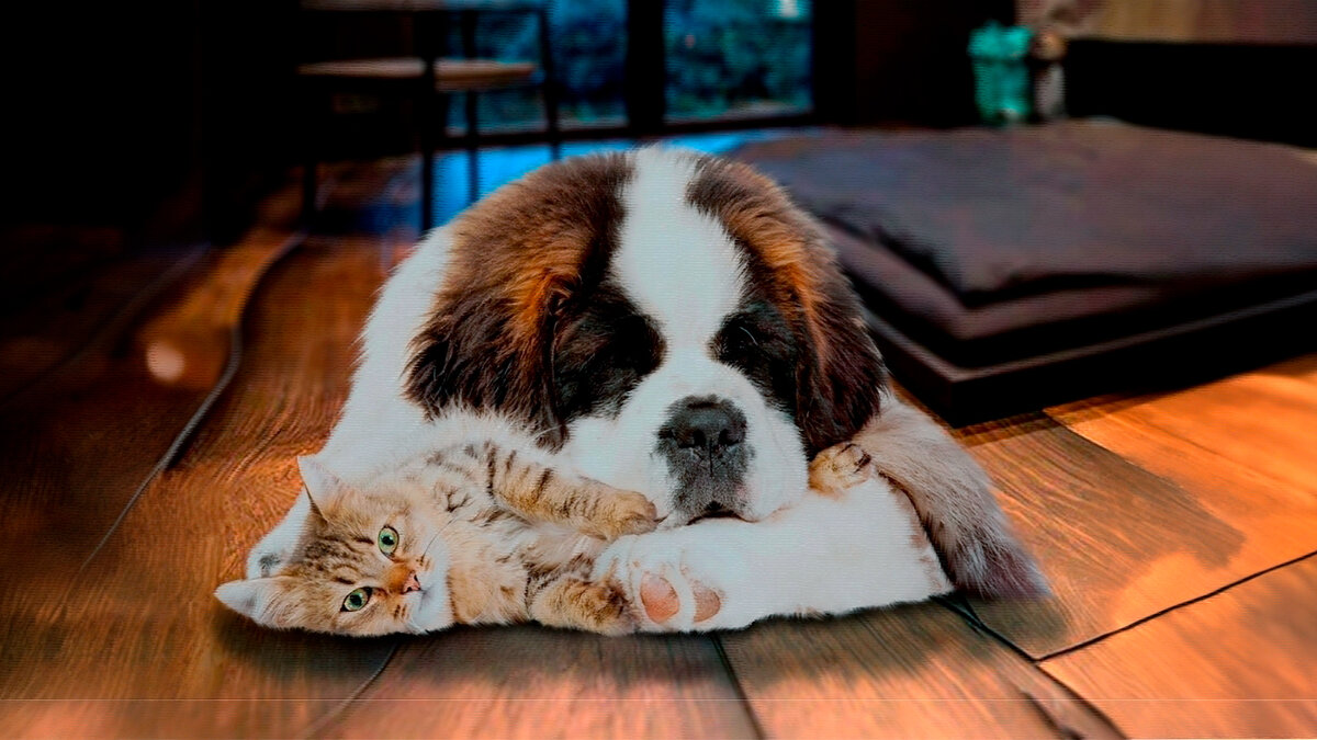 источник фото: assets.meillakotona.fi