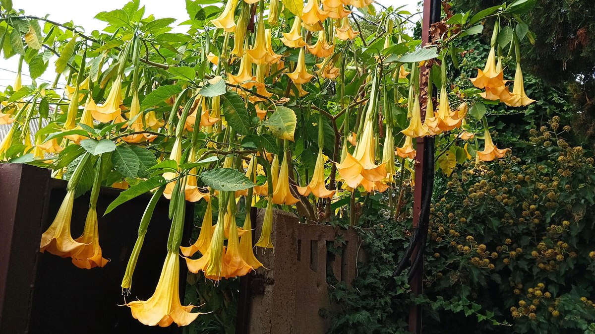 фото с канала .Этюды созерцателя.