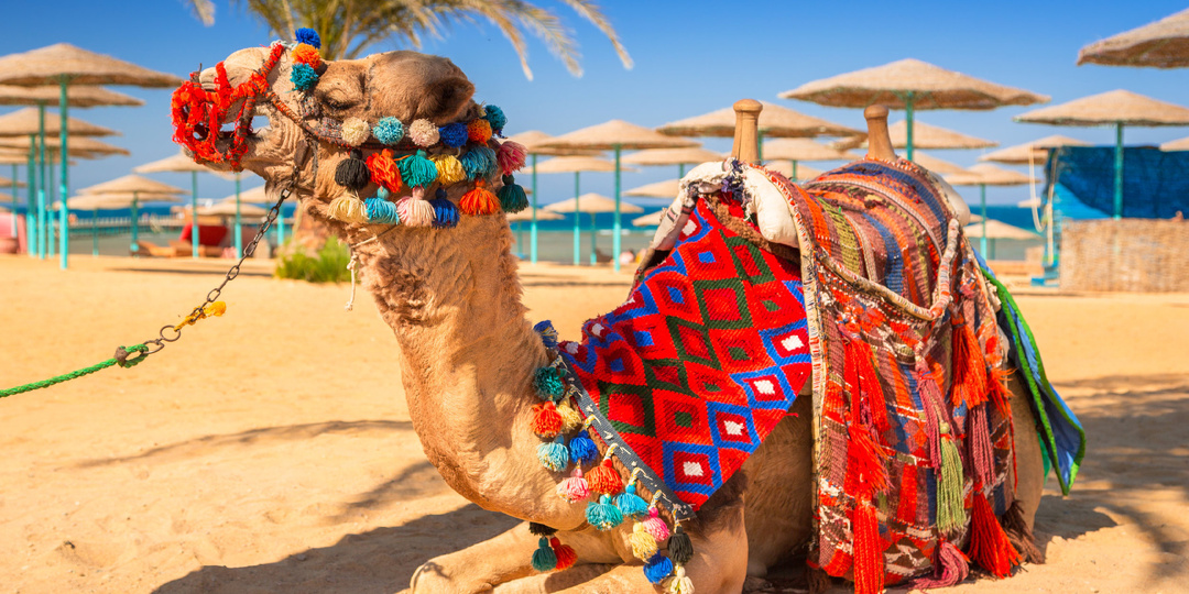 Летим в Хургаду. Все, что вы хотели знать о данном египетском курорте