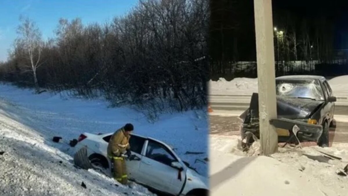 Что за звери такие событие и состав преступления нужно знать, чтобы ...