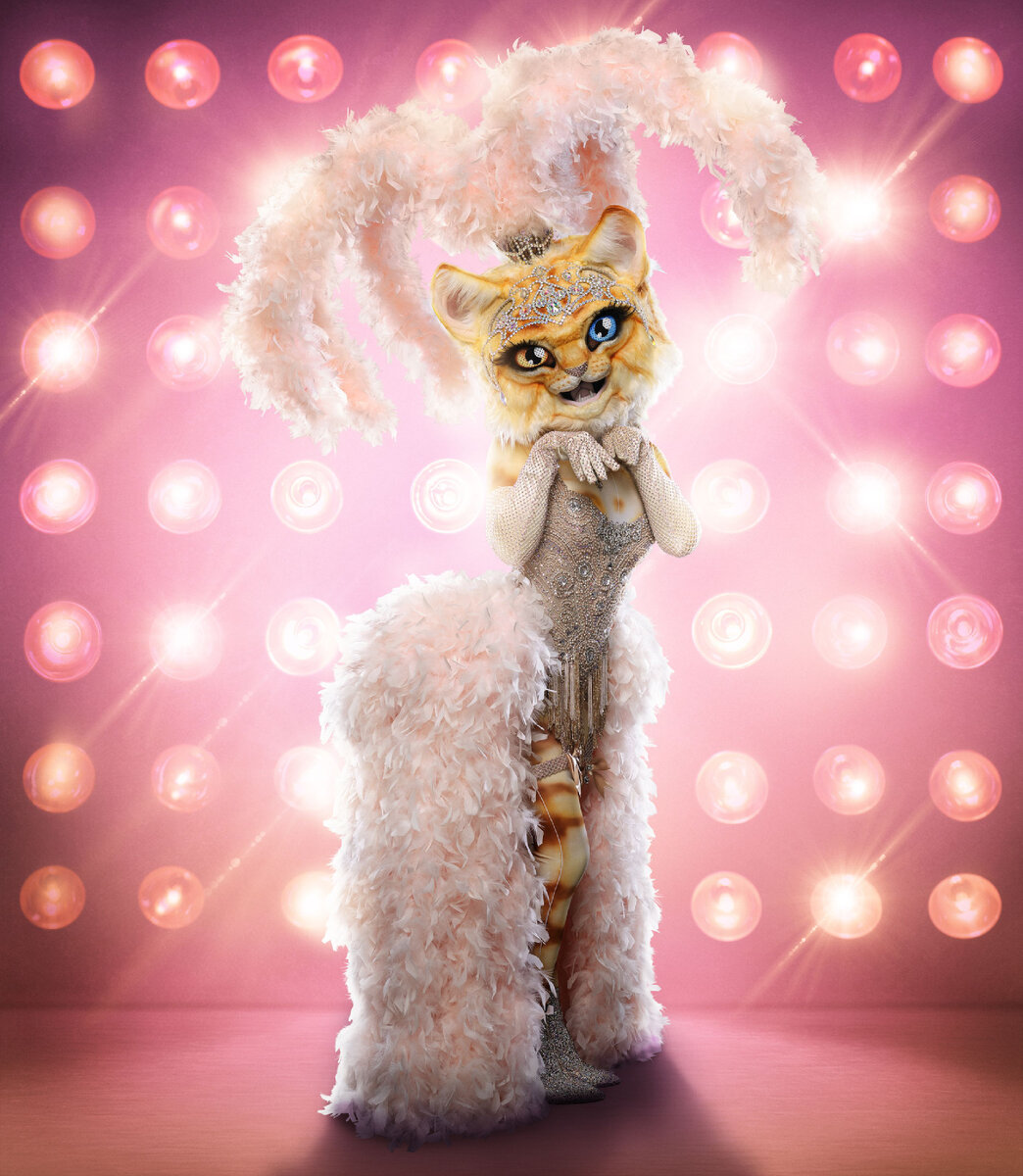 Выступление кота в маске. Mask Singer шоу 2020 Georgina. Шоу "the masked Singer" -2020. Шоу маска кошка. Кошка из шоу маска.