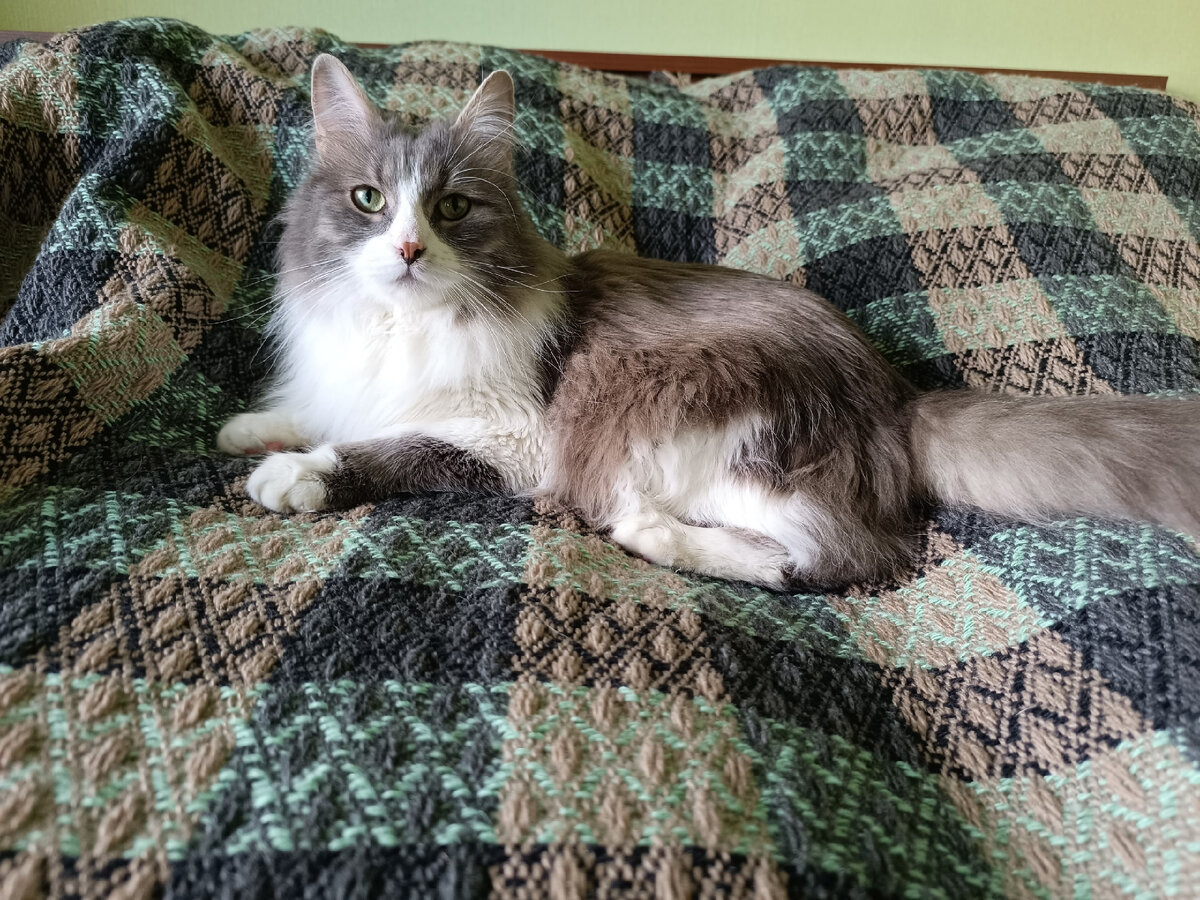 Ифф, фото автора, во взгляде отношение к тем, кто составляет всякие правила