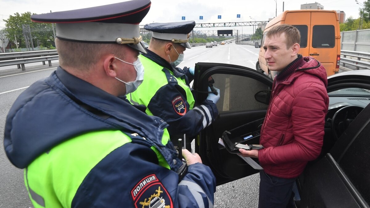 автомобильные шторки carbon (сетчатые). сетки в автомобильные окна штрафуют. штраф за шторки 2022. автошторки со светопропускаемостью 70%. окно авто.